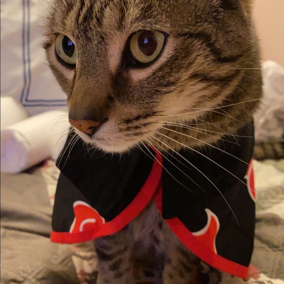 Meet your Posher, Melissa - Picture 1 of 1